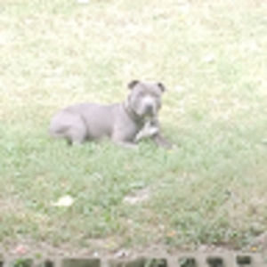 Meet your Posher, Duane